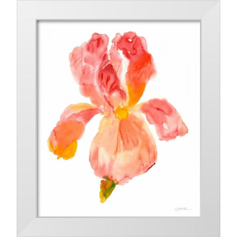 Sunset Blooms II White Modern Wood Framed Art Print by OToole, Tim