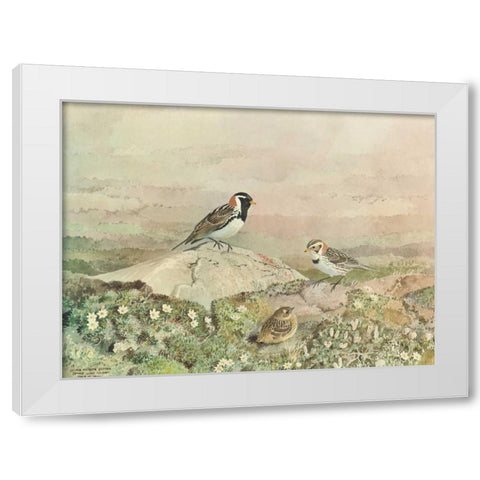 Gathering White Modern Wood Framed Art Print by Sutton, George