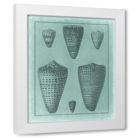 Spa Shell Collection I White Modern Wood Framed Art Print by Vision Studio