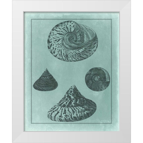 Spa Shell Collection II White Modern Wood Framed Art Print by Vision Studio