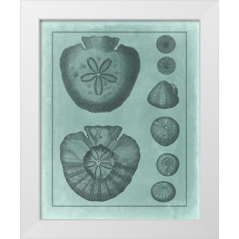 Spa Shell Collection VI White Modern Wood Framed Art Print by Vision Studio