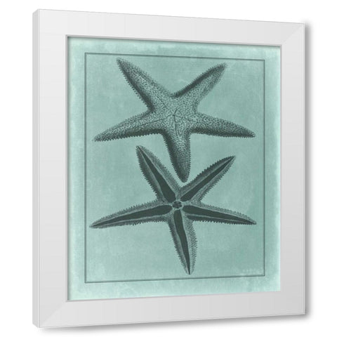 Spa Shell Collection VIII White Modern Wood Framed Art Print by Vision Studio
