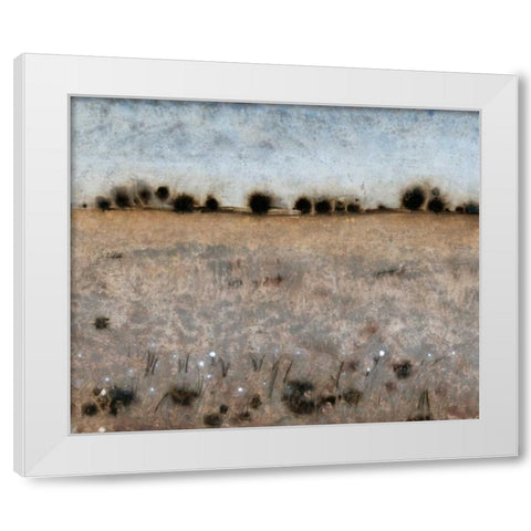 Late Afternoon I White Modern Wood Framed Art Print by OToole, Tim