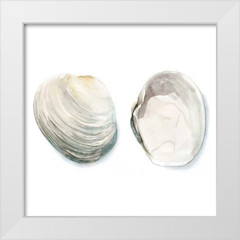 Watercolor Shells II White Modern Wood Framed Art Print by Meagher, Megan