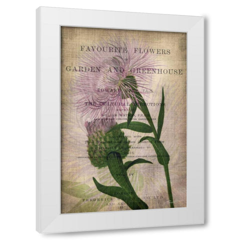 Favorite Flowers II White Modern Wood Framed Art Print by Butler, John