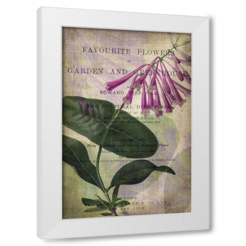 Favorite Flowers III White Modern Wood Framed Art Print by Butler, John