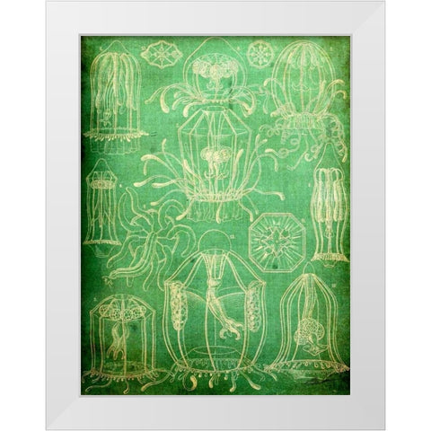 Sealife II White Modern Wood Framed Art Print by Butler, John