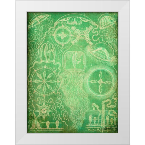 Sealife III White Modern Wood Framed Art Print by Butler, John