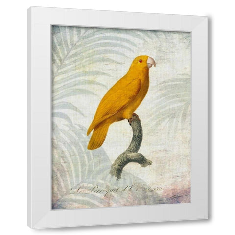 Parrot Jungle V White Modern Wood Framed Art Print by Butler, John