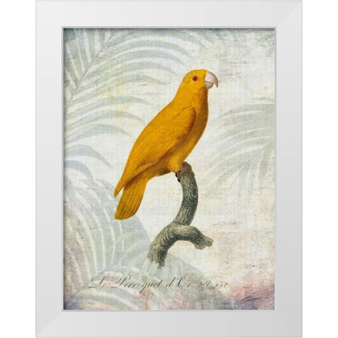 Parrot Jungle V White Modern Wood Framed Art Print by Butler, John
