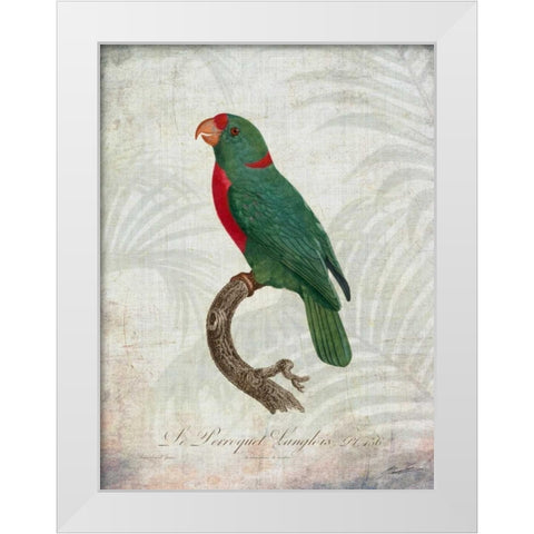 Parrot Jungle VI White Modern Wood Framed Art Print by Butler, John