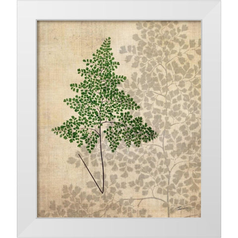 British Ferns I White Modern Wood Framed Art Print by Butler, John