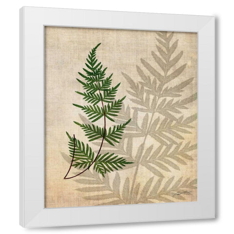 British Ferns III White Modern Wood Framed Art Print by Butler, John