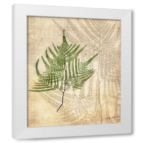 British Ferns V White Modern Wood Framed Art Print by Butler, John
