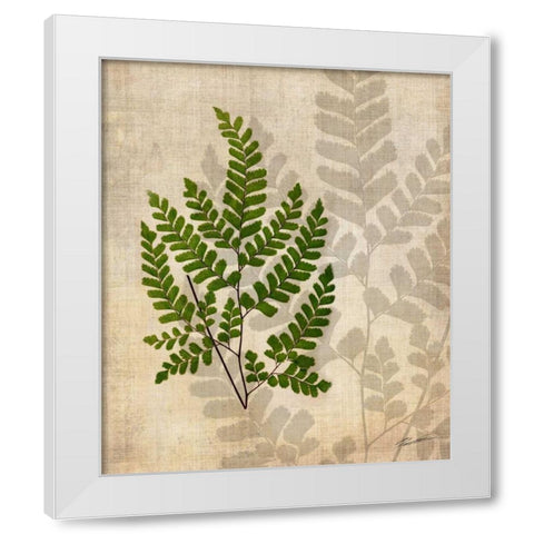 British Ferns VI White Modern Wood Framed Art Print by Butler, John