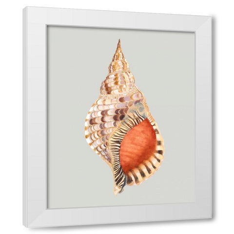 Giant Triton White Modern Wood Framed Art Print by Willett, Michael