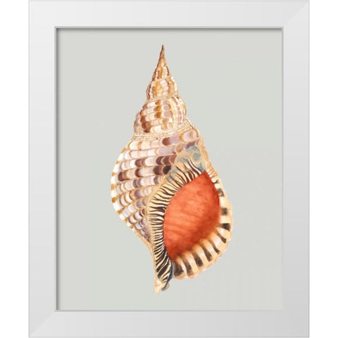 Giant Triton White Modern Wood Framed Art Print by Willett, Michael