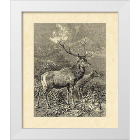 Vintage Roe Deer II White Modern Wood Framed Art Print by Specht, Friedrich