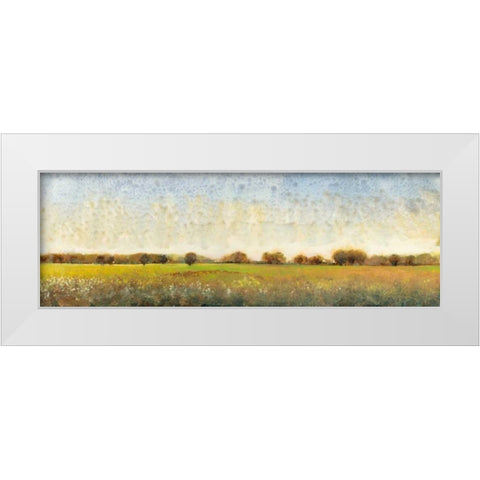 Flowering Meadow II White Modern Wood Framed Art Print by OToole, Tim