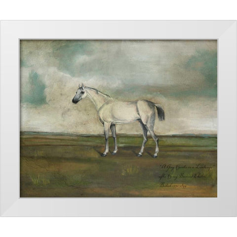 A Grey Hunter in a Landscape White Modern Wood Framed Art Print by McCavitt, Naomi