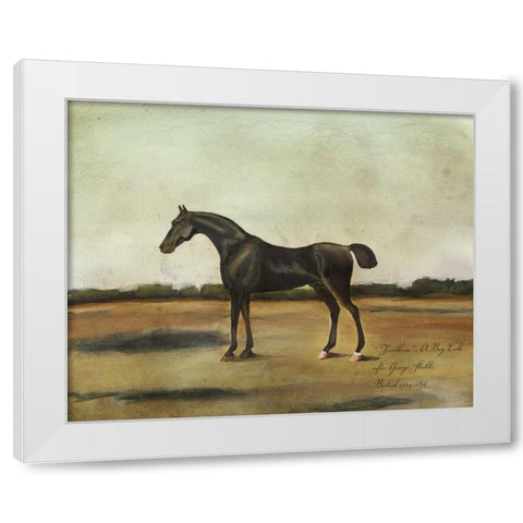 Trentham- A Bay Colt White Modern Wood Framed Art Print by McCavitt, Naomi