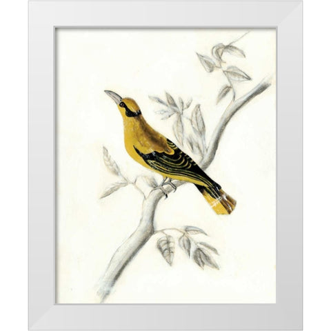 Rustic Aviary II White Modern Wood Framed Art Print by McCavitt, Naomi