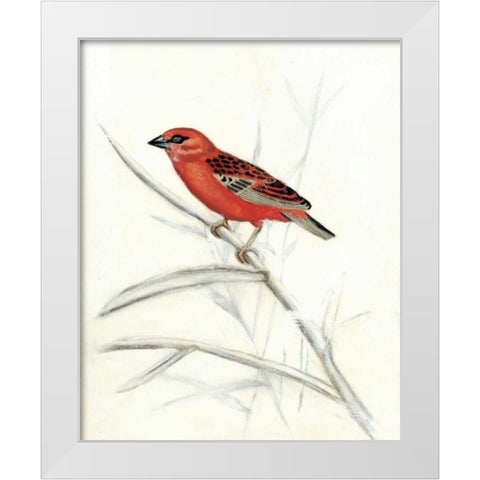 Rustic Aviary IV White Modern Wood Framed Art Print by McCavitt, Naomi