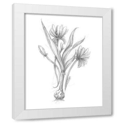 Botanical Sketch III White Modern Wood Framed Art Print by Harper, Ethan