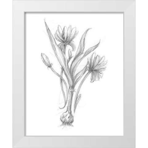 Botanical Sketch III White Modern Wood Framed Art Print by Harper, Ethan