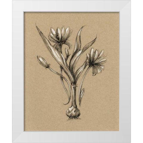 Botanical Sketch Black and White III White Modern Wood Framed Art Print by Harper, Ethan