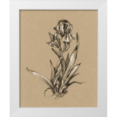 Botanical Sketch Black and White VI White Modern Wood Framed Art Print by Harper, Ethan