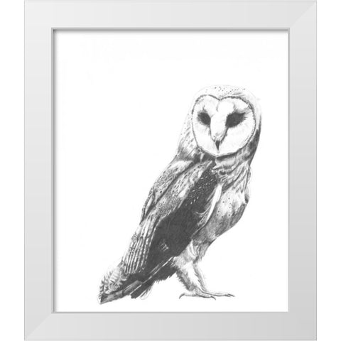 Wildlife Snapshot- Owl White Modern Wood Framed Art Print by McCavitt, Naomi