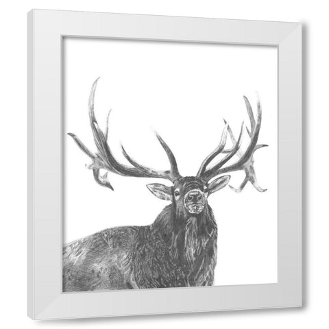 Wildlife Snapshot: Elk White Modern Wood Framed Art Print by McCavitt, Naomi
