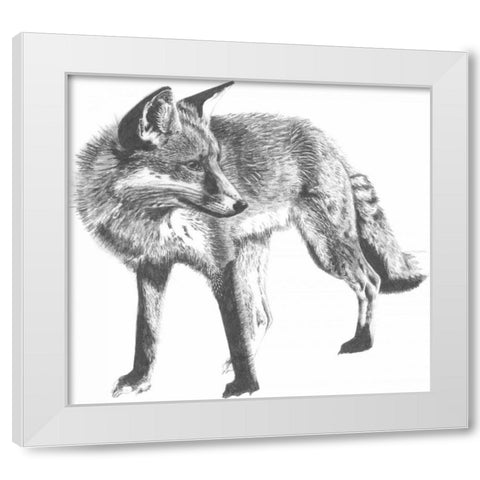 Wildlife Snapshot- Fox White Modern Wood Framed Art Print by McCavitt, Naomi
