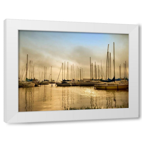 Morning Fog White Modern Wood Framed Art Print by Head, Danny