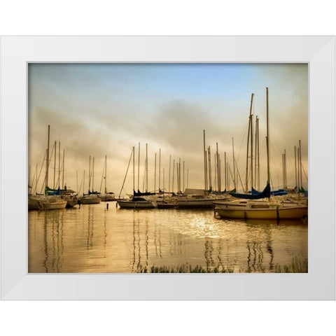 Morning Fog White Modern Wood Framed Art Print by Head, Danny