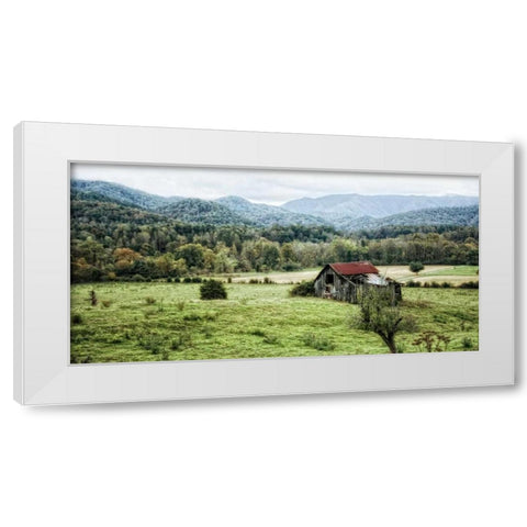 Down on the Farm White Modern Wood Framed Art Print by Head, Danny