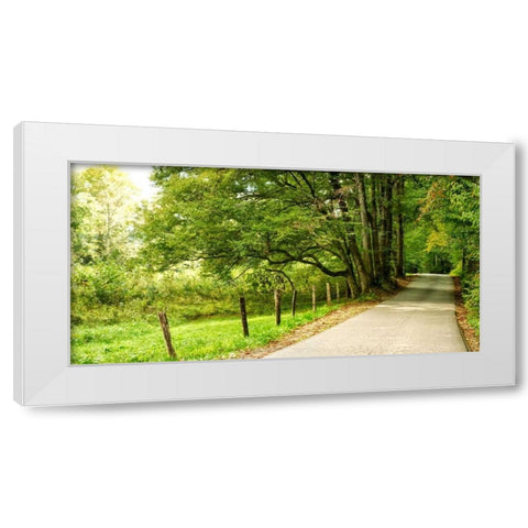 Over the Next Hill White Modern Wood Framed Art Print by Head, Danny
