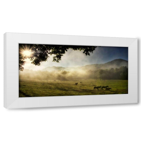 Running in the Mist White Modern Wood Framed Art Print by Head, Danny