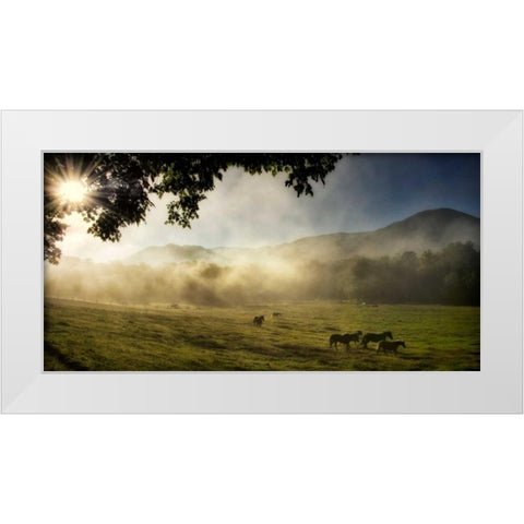 Running in the Mist White Modern Wood Framed Art Print by Head, Danny