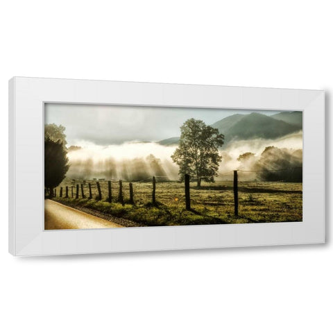 Sunrise in Cades Cove White Modern Wood Framed Art Print by Head, Danny