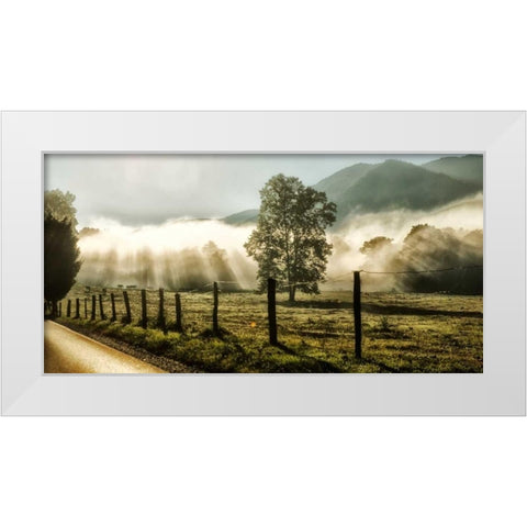 Sunrise in Cades Cove White Modern Wood Framed Art Print by Head, Danny