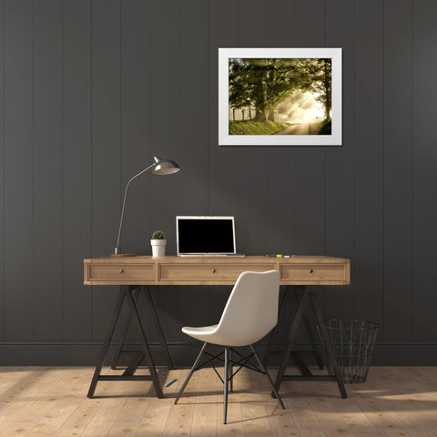 Fresh Morning I White Modern Wood Framed Art Print by Head, Danny