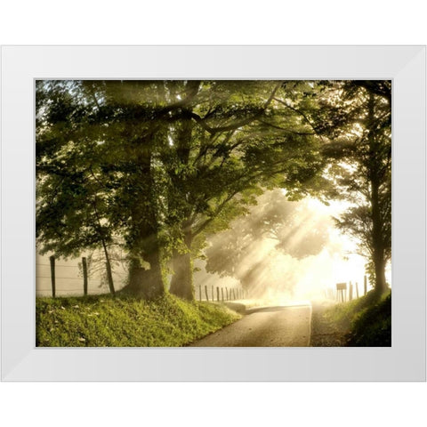 Fresh Morning I White Modern Wood Framed Art Print by Head, Danny