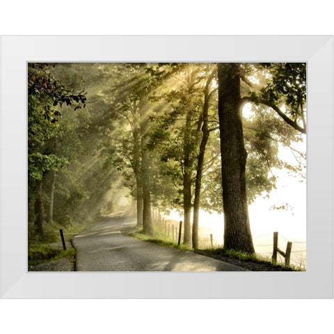 Fresh Morning II White Modern Wood Framed Art Print by Head, Danny