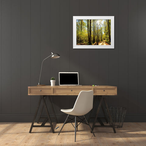 A Fresh New Morning White Modern Wood Framed Art Print by Head, Danny