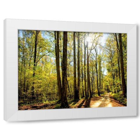 A Fresh New Morning White Modern Wood Framed Art Print by Head, Danny