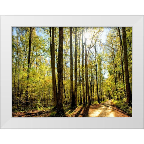A Fresh New Morning White Modern Wood Framed Art Print by Head, Danny