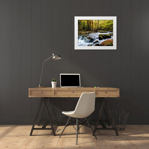Over Flow I White Modern Wood Framed Art Print by Head, Danny