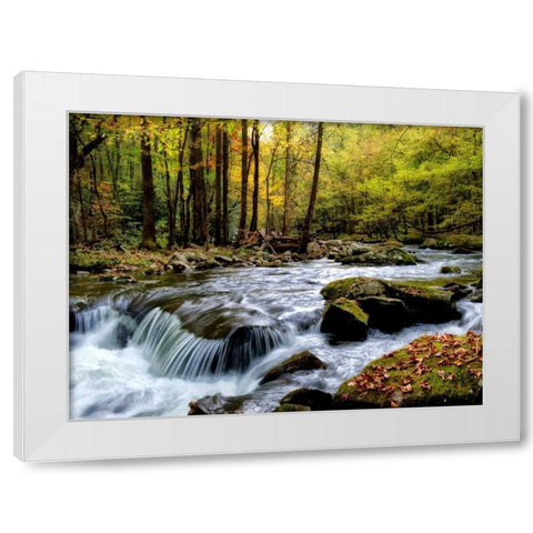 Over Flow I White Modern Wood Framed Art Print by Head, Danny
